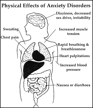 physical response to anxiety