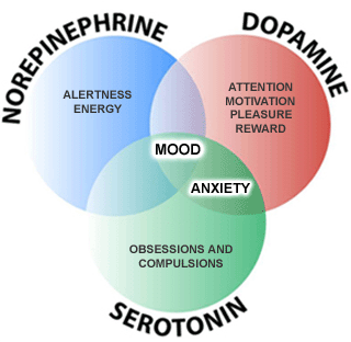 physical response to anxiety